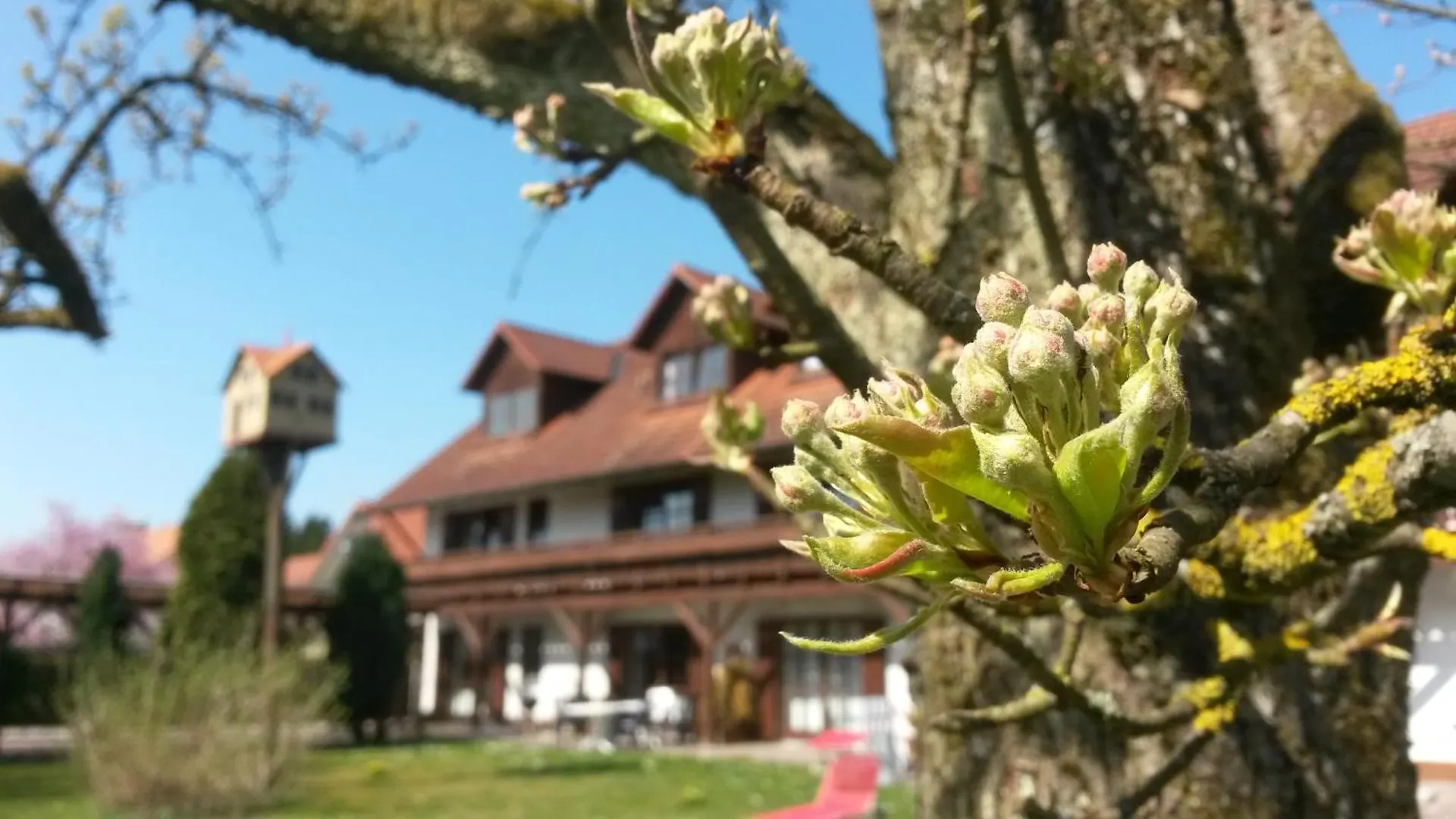 Pension Aufeld Landsberg am Lech
