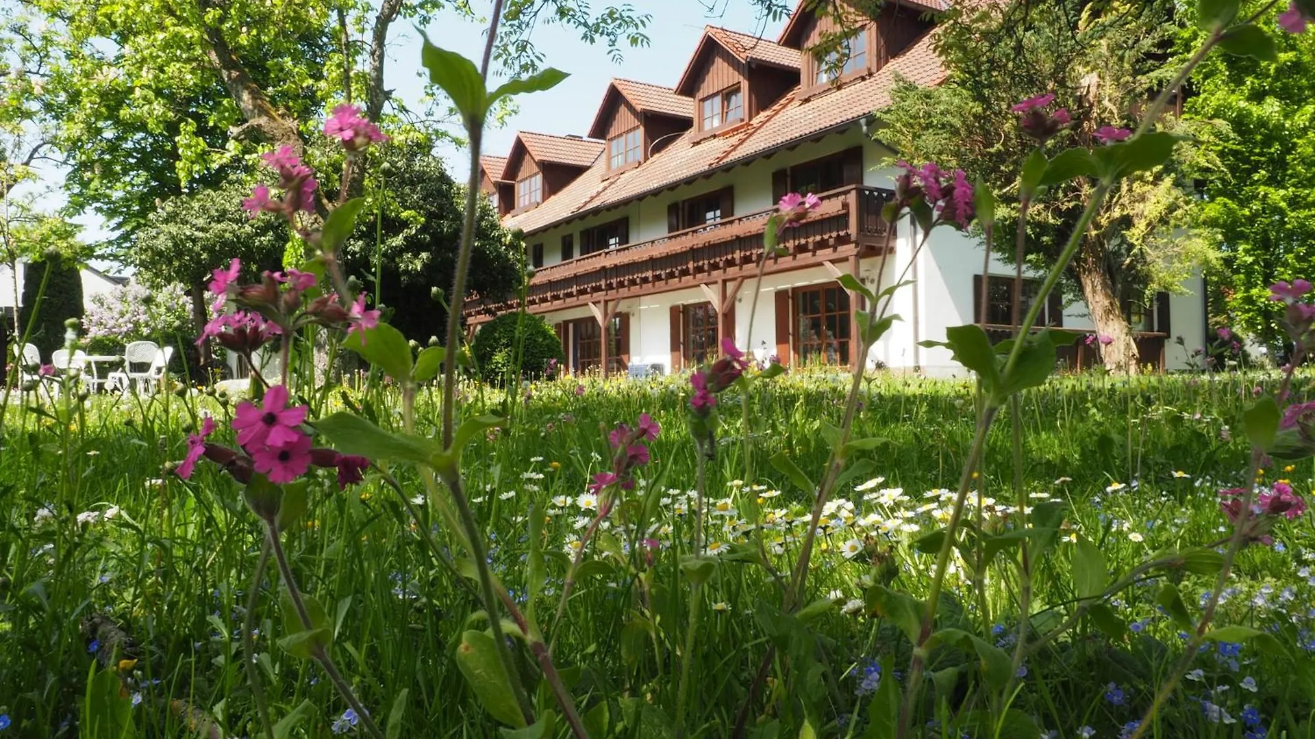 Pension Aufeld contacts